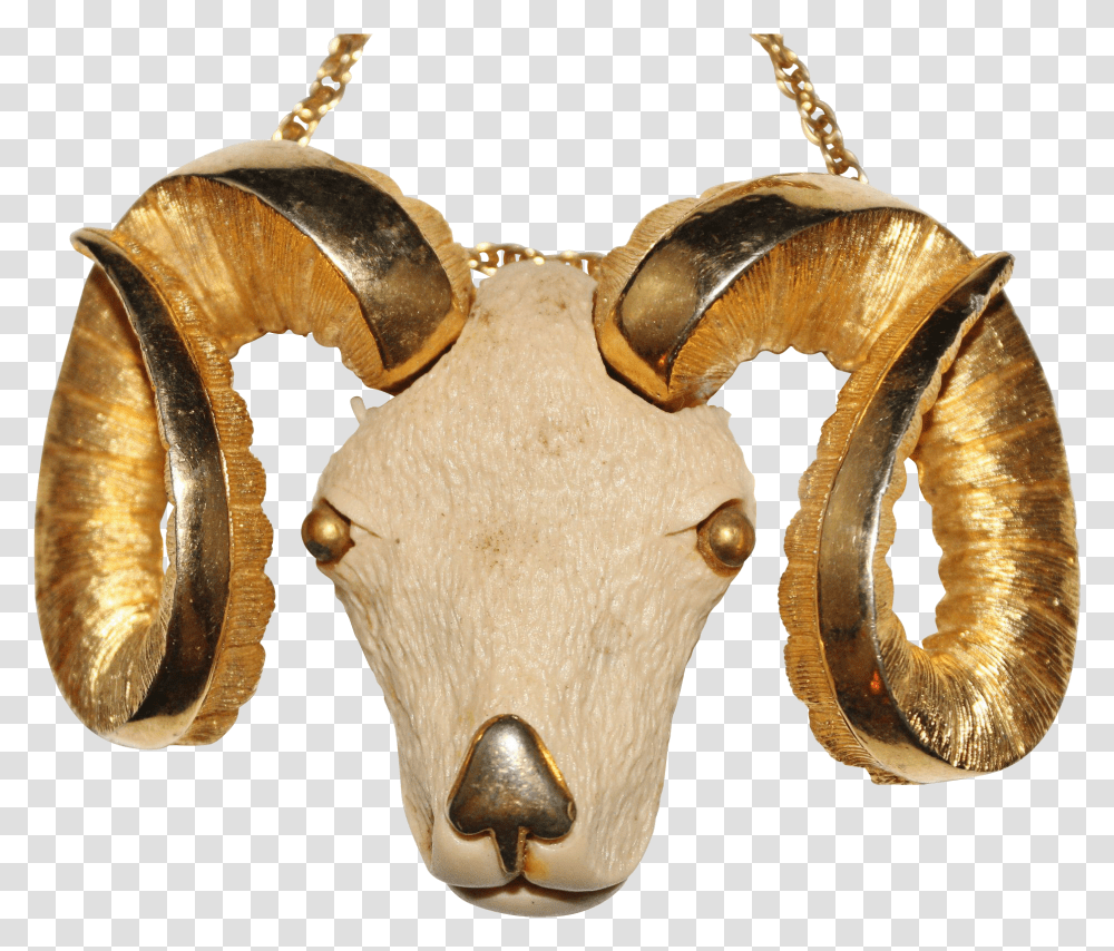 Gold Horns, Bronze, Accessories, Accessory, Fungus Transparent Png