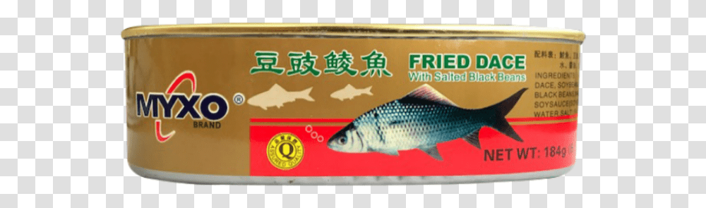Gold Label, Fish, Animal, Word, Carp Transparent Png