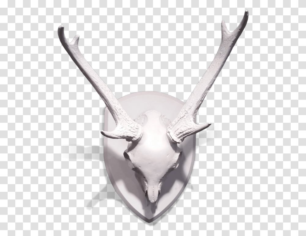 Gold Leaf Design Group Mule Deer Skull With Antlers Deer, Spoon, Cutlery, Bird, Animal Transparent Png