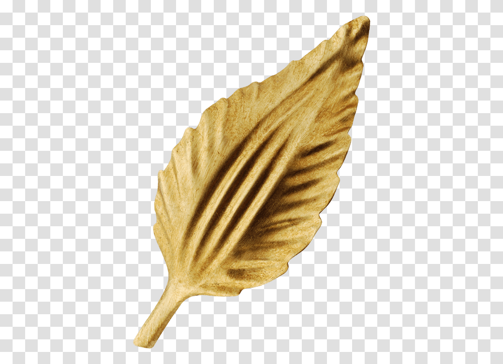 Gold Leaf Fish, Plant, Animal, Bird, Sea Life Transparent Png