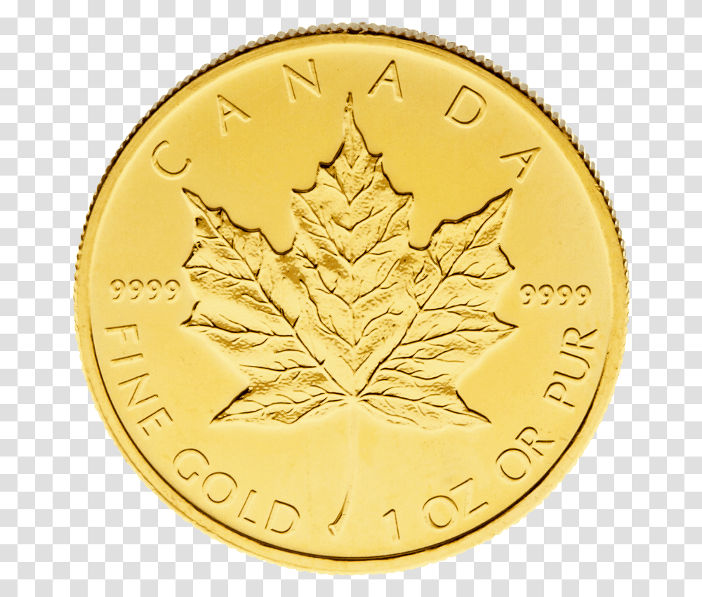 Gold, Leaf, Plant, Coin, Money Transparent Png