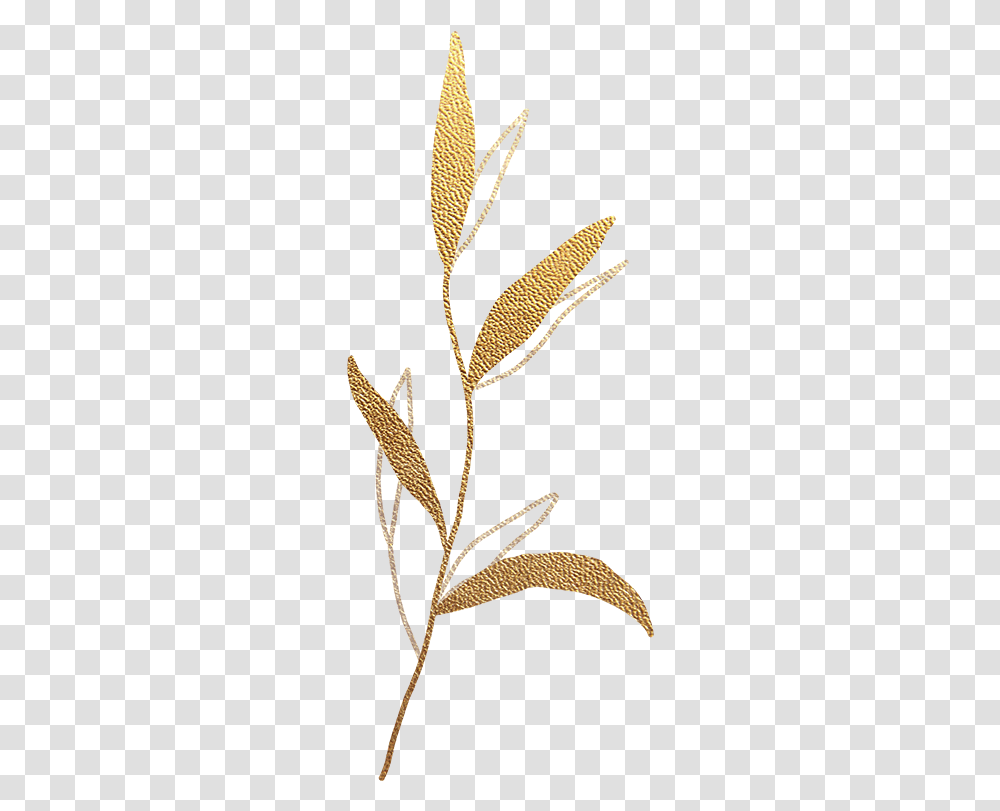 Gold Leaf Split Background Old Rectory Placement Needlework, Plant, Accessories, Jewelry, Grass Transparent Png