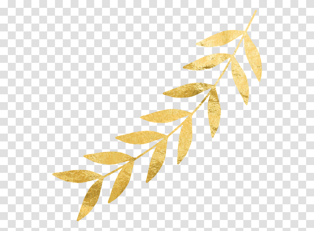 Gold Leaves Right Gold Leaf Gold Leaves No Background, Plant, Wood Transparent Png