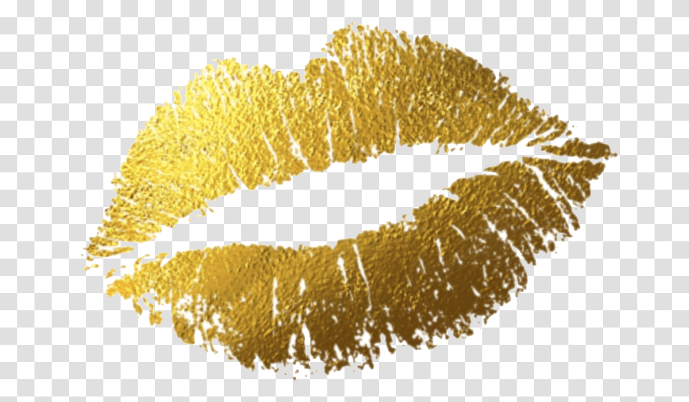 Gold Lips Photo Arts Gold Lips, Fungus, Mouth, Honey Bee, Insect Transparent Png