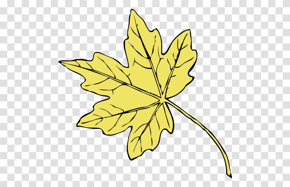 Gold Maple Leaf Cartoon Jingfm Autumn Leaf Black And White, Plant Transparent Png