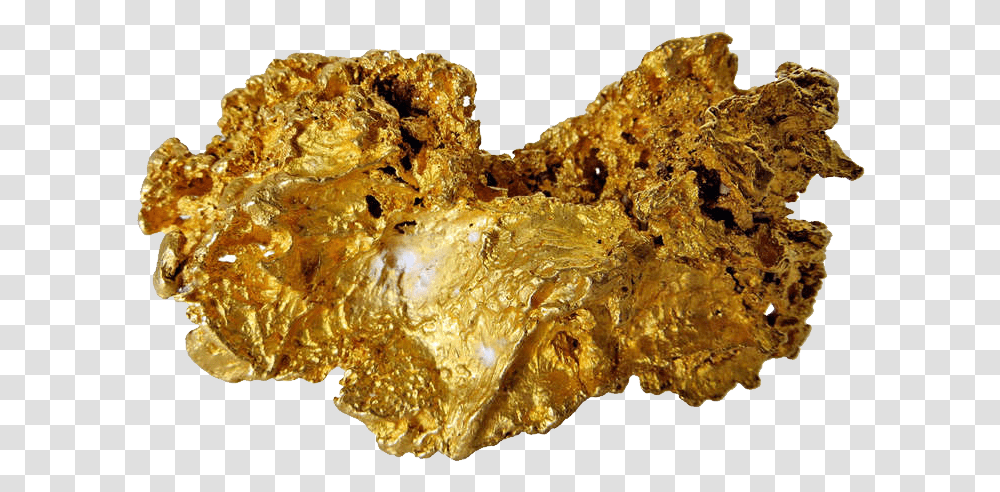 Gold Nuggets 4 Image Background Gold Nugget, Fungus, Honey Bee, Insect, Invertebrate Transparent Png