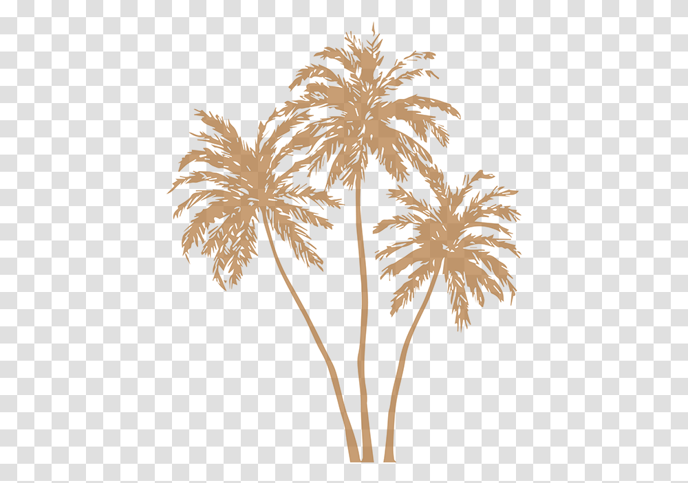 Gold Palm Leaves Image Free Stock Gold Palm Leaves, Nature, Outdoors, Night, Tree Transparent Png