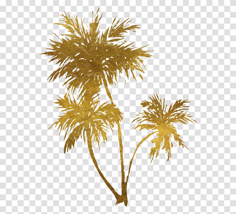 Gold Palm Tree Gold Palm Trees, Nature, Outdoors, Plant, Ornament Transparent Png