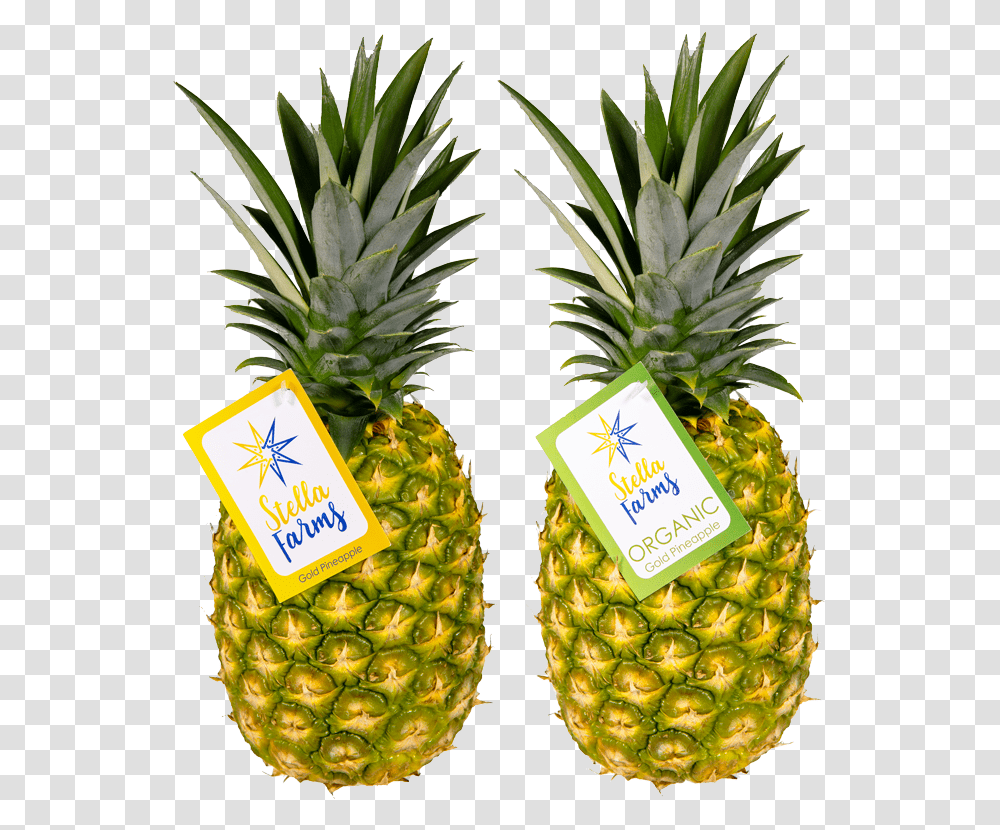 Gold Pineapple, Fruit, Plant, Food Transparent Png