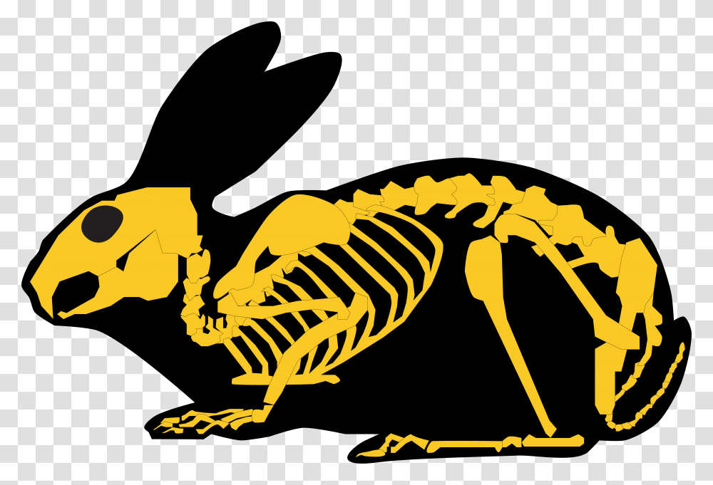 Gold Rabbit Skeleton And Silhouette Rabbit Skeleton Silhouette, Animal, Reptile, Dinosaur, Crocodile Transparent Png