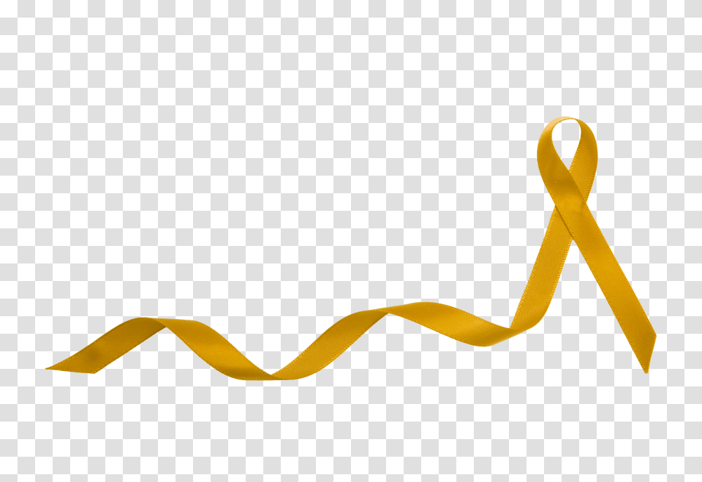 Gold Ribbon Gold Cancer Ribbon Background, Snake, Reptile, Animal, Fence Transparent Png