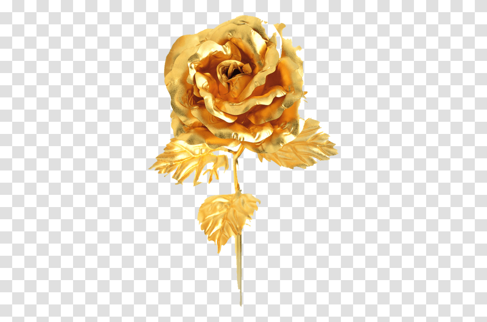 Gold Rose Psd Official Psds Lovely, Flower, Plant, Ivory, Carnation Transparent Png