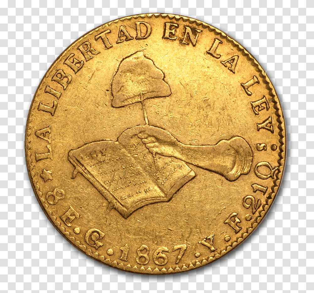 Gold, Rug, Coin, Money Transparent Png