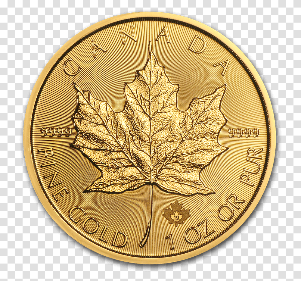 Gold Silver 1 Oz Gold Maple Leaf Coin, Plant, Money, Bronze Transparent Png