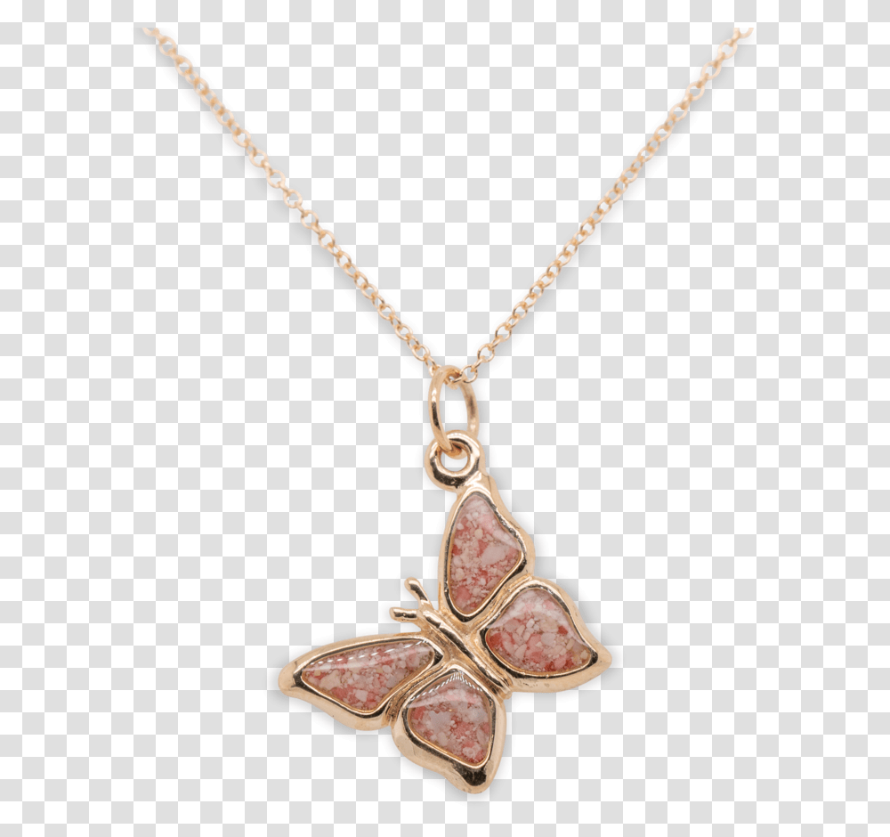 Gold Solid, Necklace, Jewelry, Accessories, Accessory Transparent Png