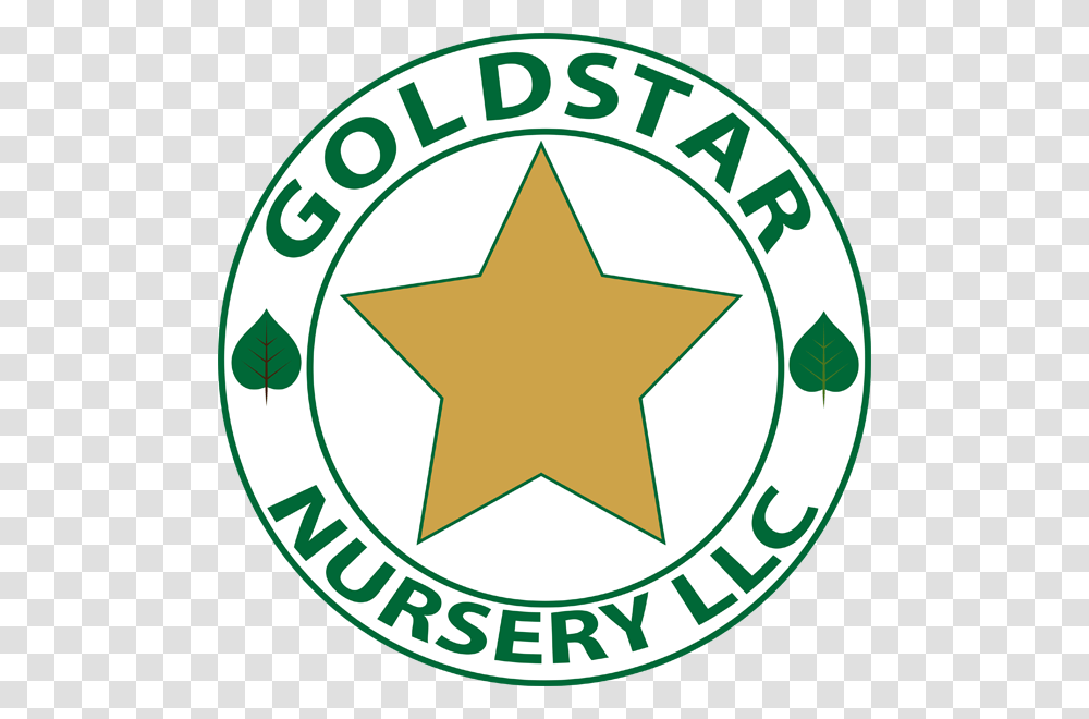 Gold Star Nursery, Star Symbol, Logo, Trademark Transparent Png