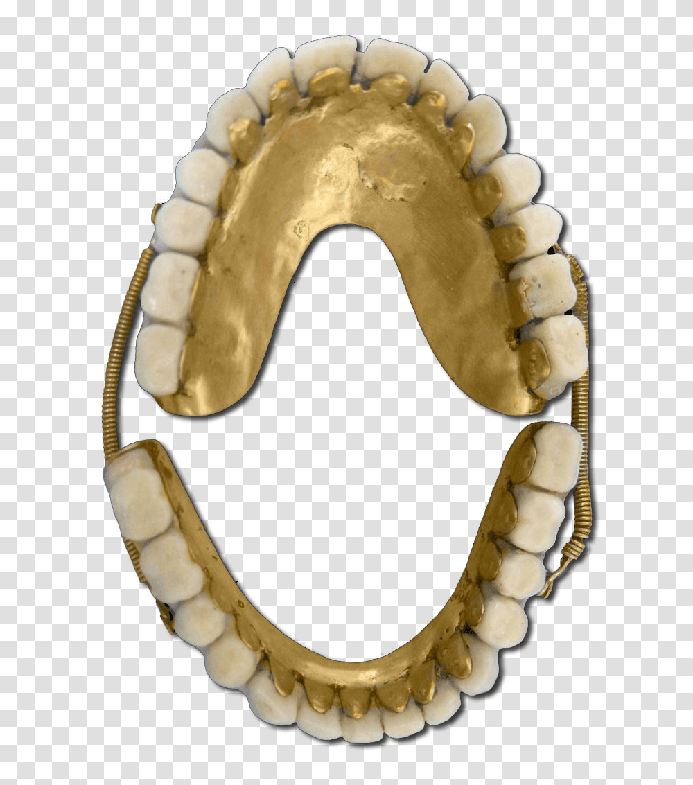 Gold Teeth Jaw, Fossil Transparent Png