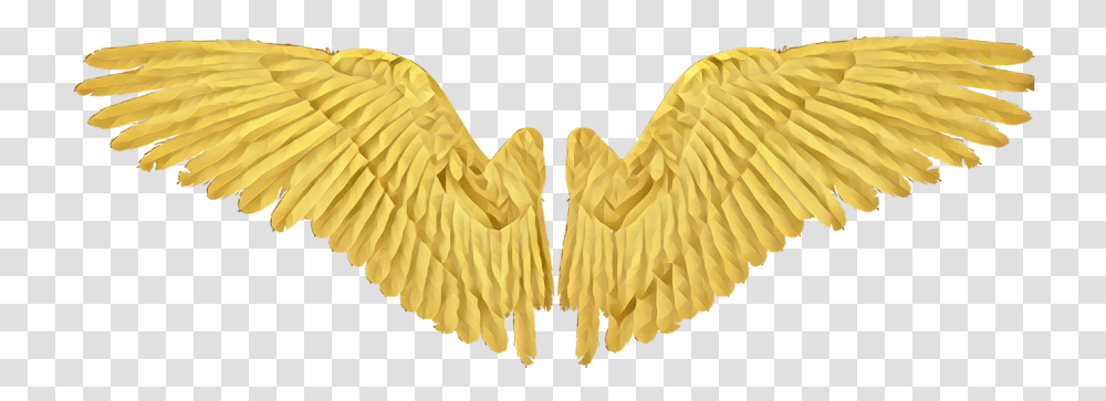 Gold Wing Wings Angel Angelwings Realistic Black Wings, Art, Archangel, Bird, Animal Transparent Png