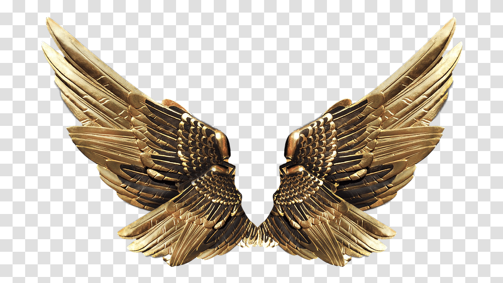 Gold Wings 2 Image Metal Wings, Eagle, Bird, Animal, Bronze Transparent Png