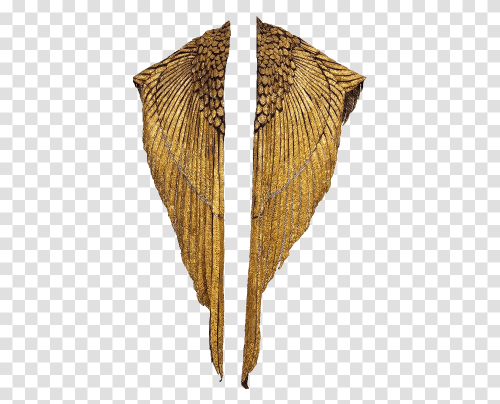 Gold Wings Shawl Pngs Cute Trendy Golden Cape, Invertebrate, Animal, Scarf, Clothing Transparent Png