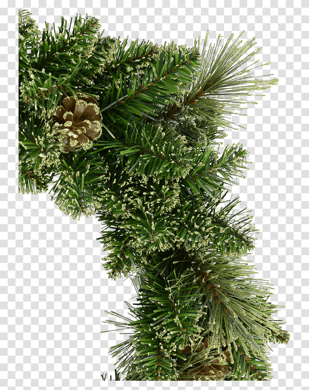 Gold Wreath Christmas Tree, Plant, Conifer, Pine, Fir Transparent Png