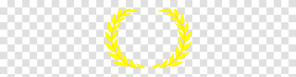 Gold Wreath Image, Pattern, Plant Transparent Png