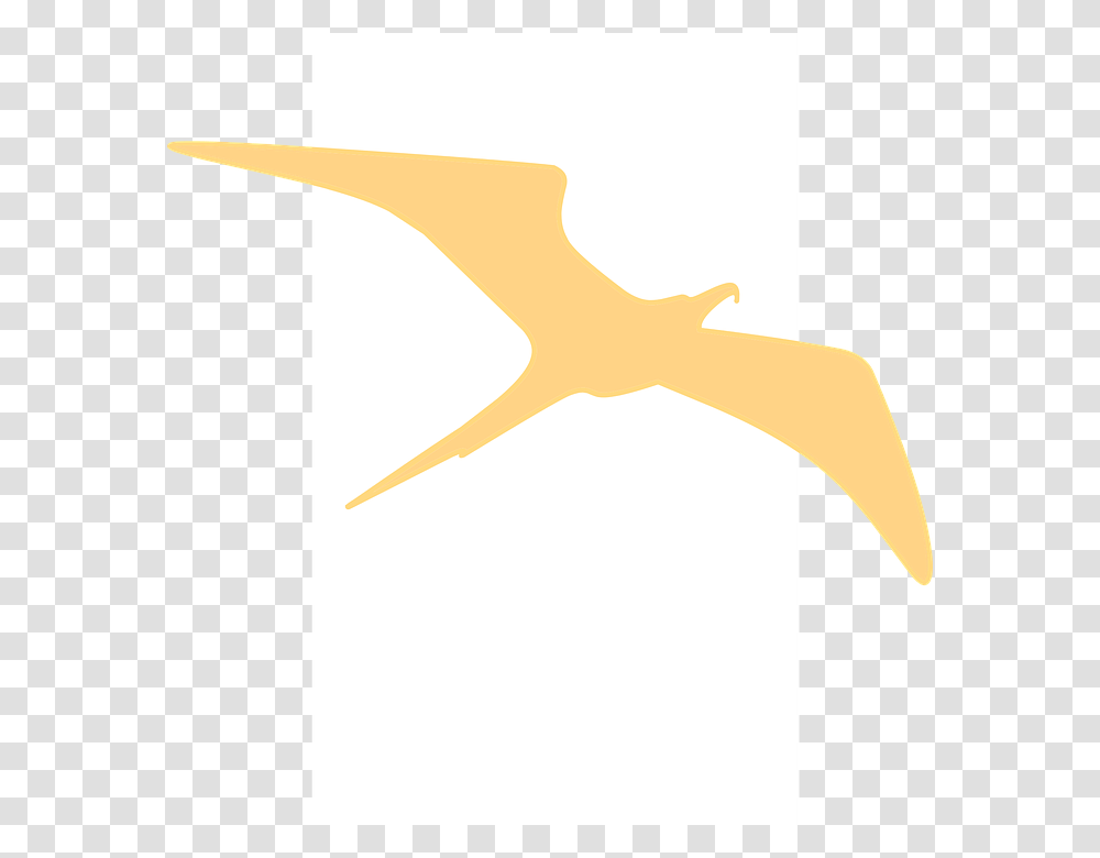 Golden 960, Axe, Tool, Star Symbol Transparent Png