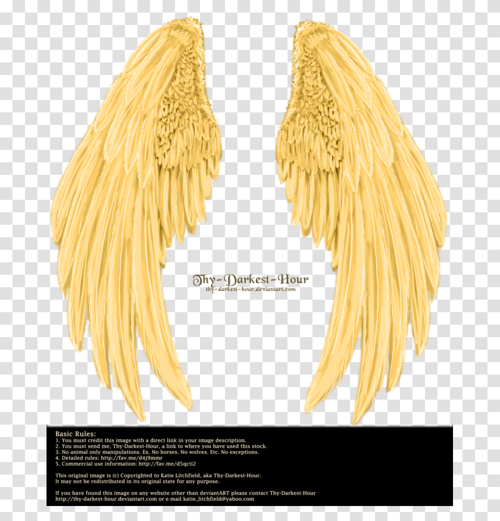 Golden Angel Wings, Bird, Animal, Hair Transparent Png