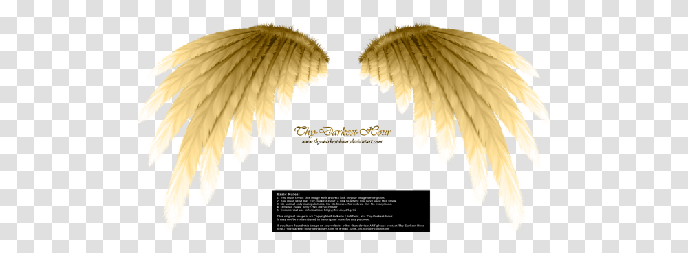 Golden Angels Wings Picture 1779042 Portable Network Graphics, Leaf, Plant, Animal, Tree Transparent Png