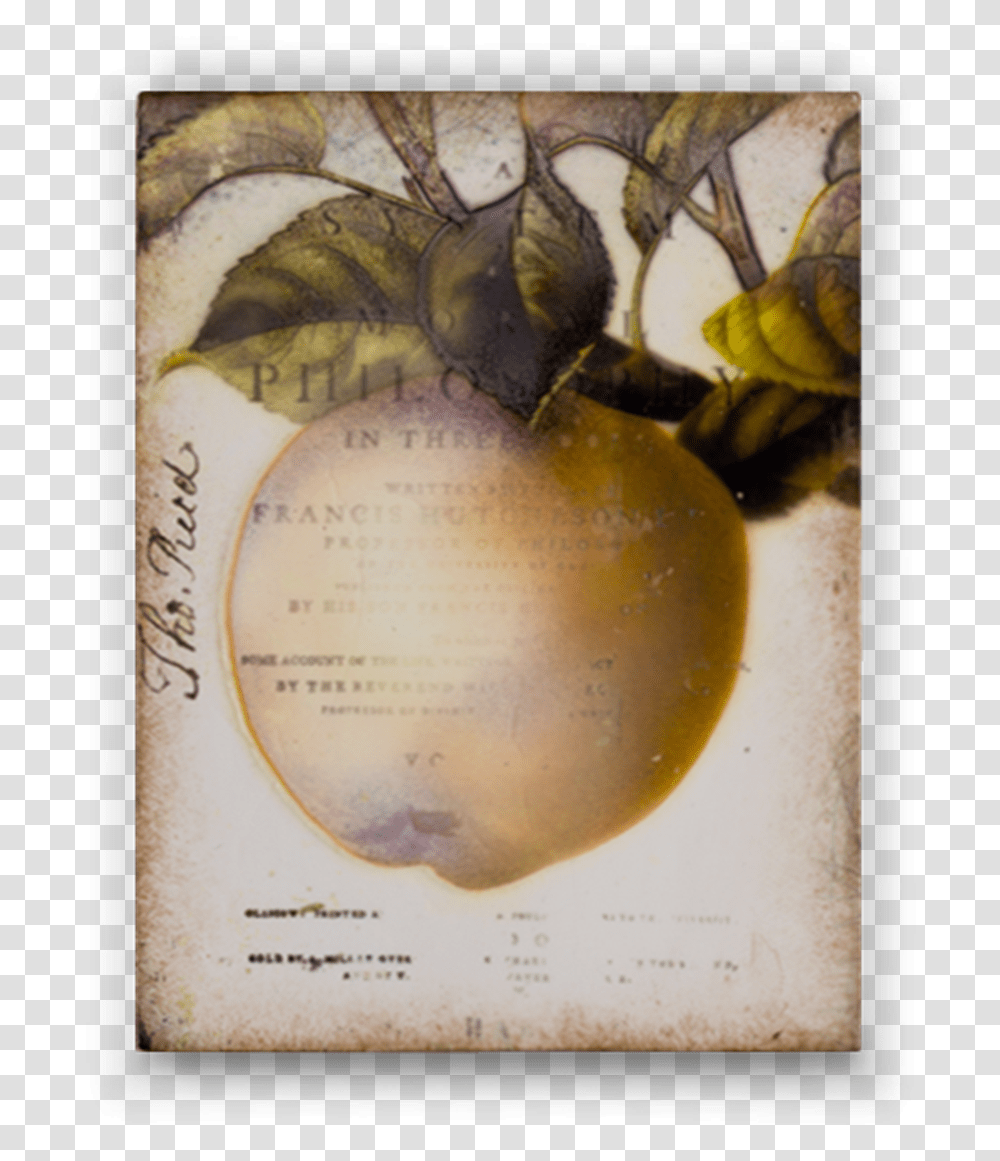 Golden Apple Golden Apple, Plant, Text, Banana, Food Transparent Png