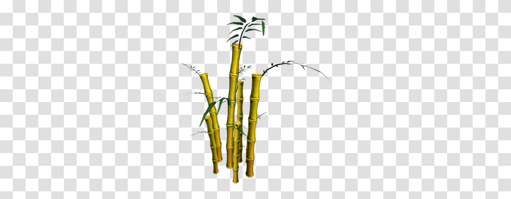 Golden Bamboo, Plant, Bow Transparent Png