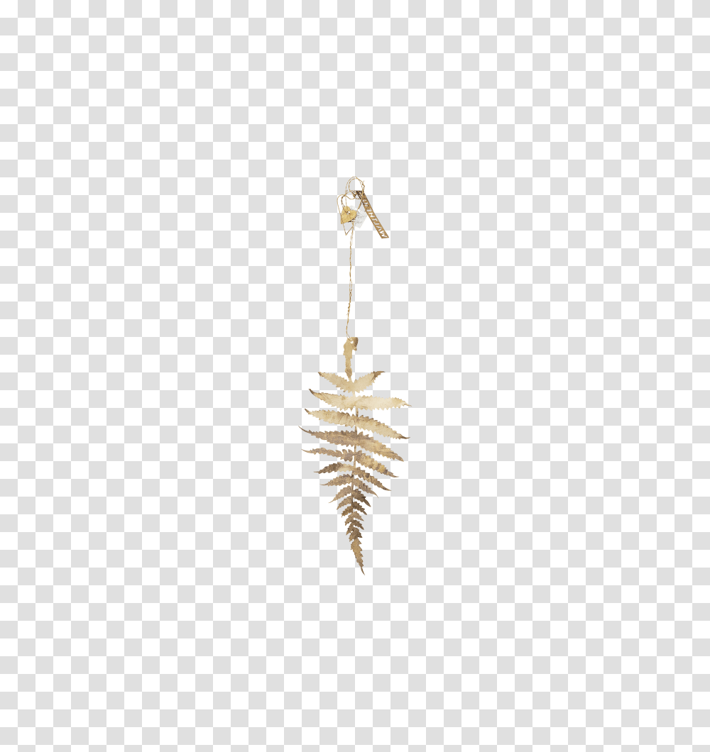 Golden Brass Fern Leaf, Skeleton, Animal Transparent Png