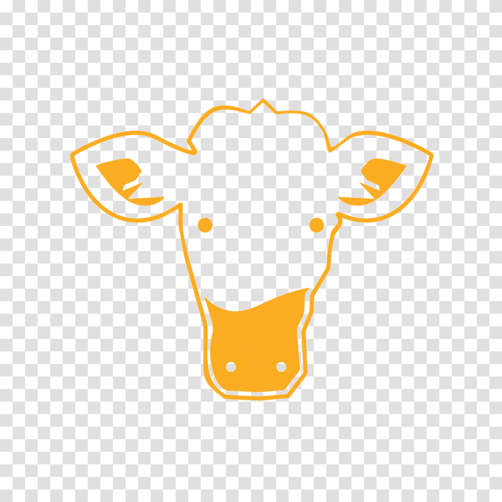 Golden Calf Productions, Cow, Cattle, Mammal, Animal Transparent Png