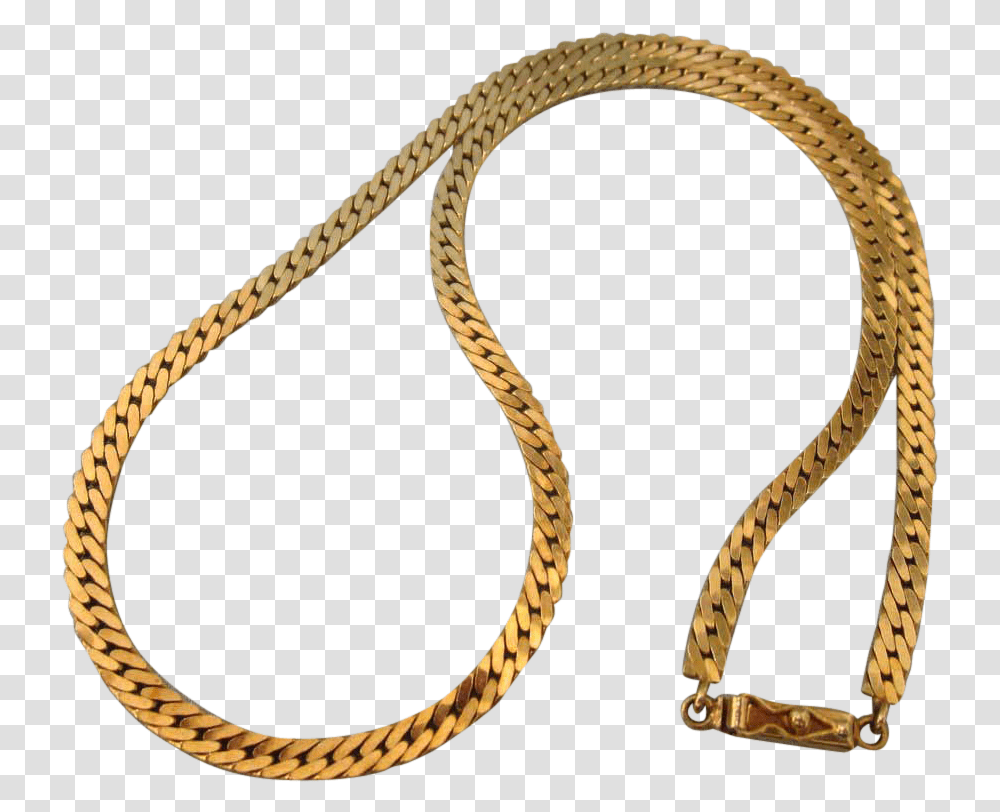 Golden Chain, Snake, Reptile, Animal, Accessories Transparent Png
