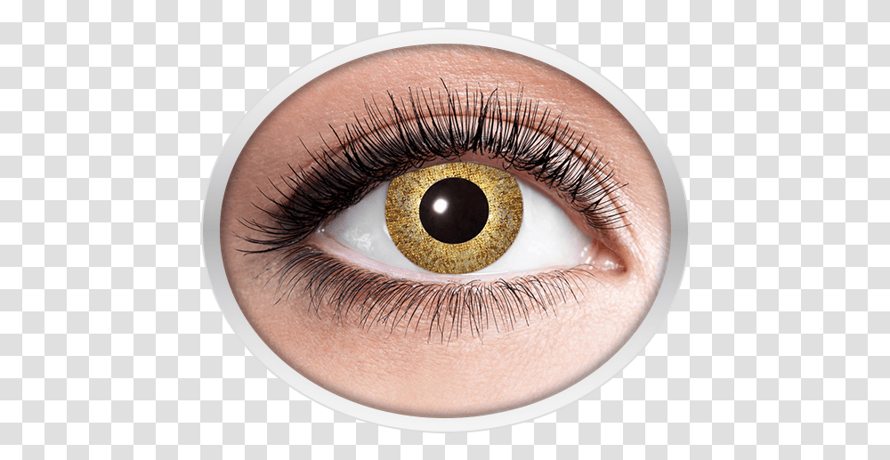 Golden Contact Lenses Contact Lenses With Rainbow, Person, Human Transparent Png