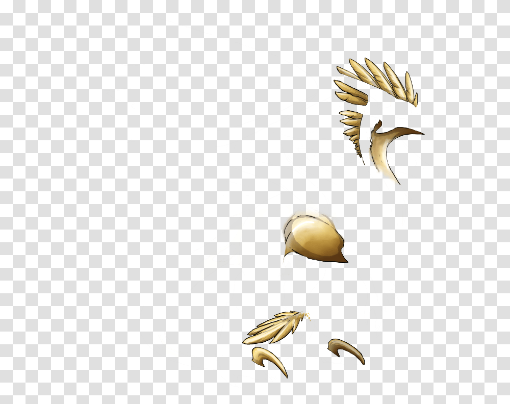 Golden Crowned Kinglet, Dragon, Helmet, Apparel Transparent Png