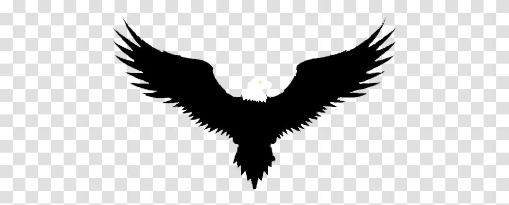 Golden Eagle, Animal, Pac Man, Mammal Transparent Png