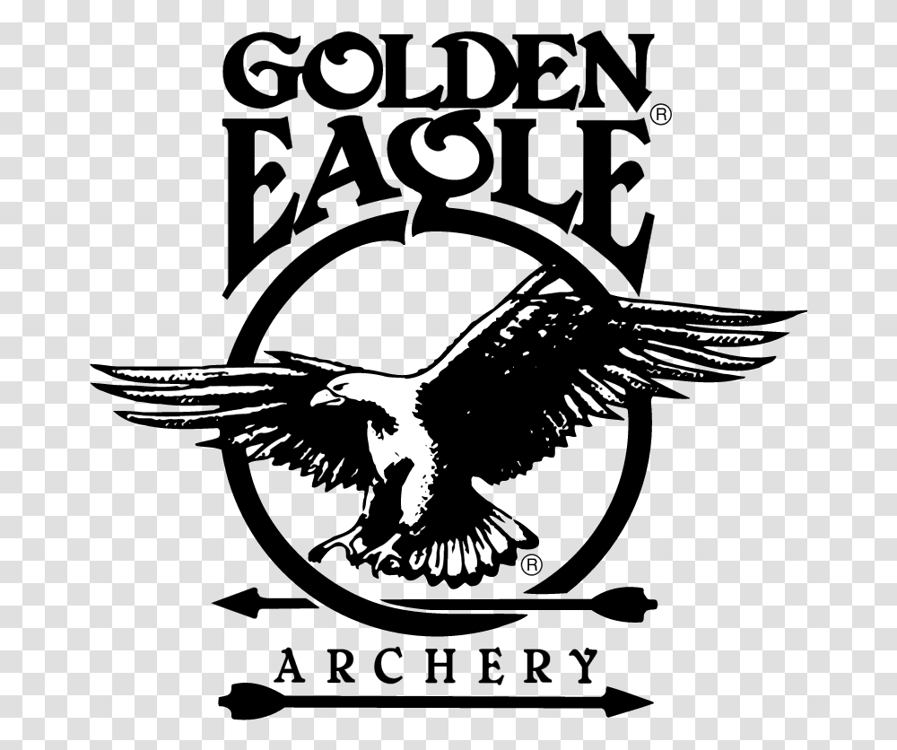 Golden Eagle Archery Vector Logo Golden Eagle Archery, Bird, Animal, Flying, Bald Eagle Transparent Png