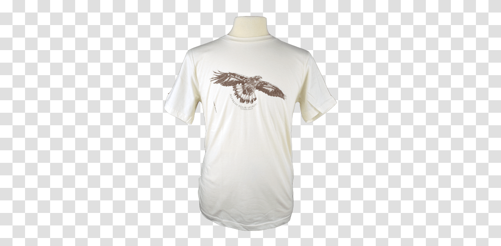 Golden Eagle Bald Eagle, Clothing, Apparel, Sleeve, Bird Transparent Png