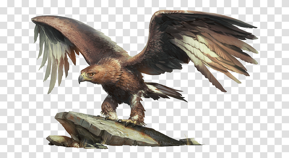 Golden Eagle, Bird, Animal, Buzzard, Hawk Transparent Png