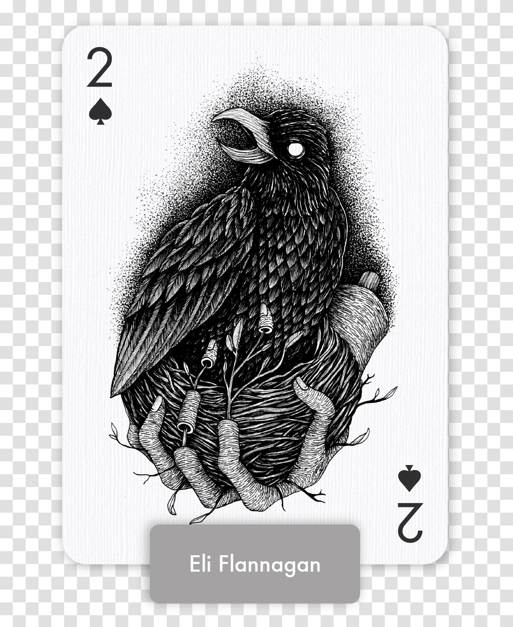 Golden Eagle, Bird, Animal, Drawing Transparent Png
