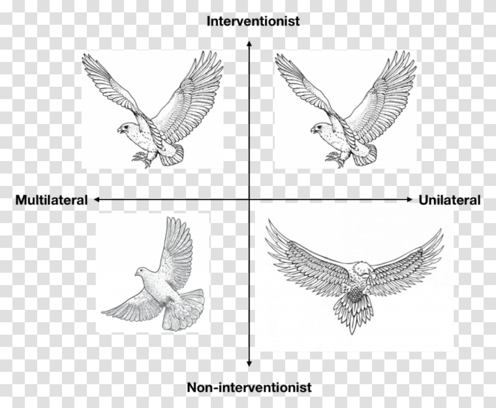 Golden Eagle, Bird, Animal, Flying, Drawing Transparent Png