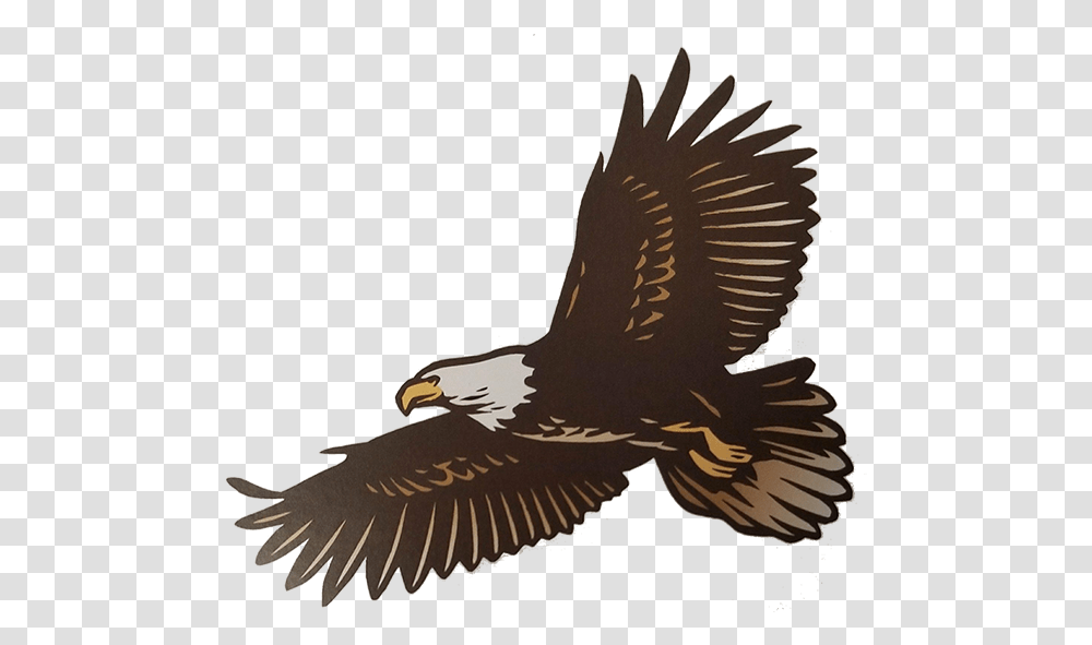 Golden Eagle, Bird, Animal, Kite Bird, Bald Eagle Transparent Png