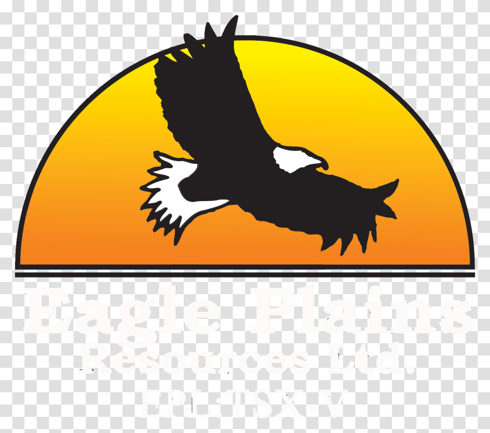 Golden Eagle, Bird, Animal, Poster, Advertisement Transparent Png