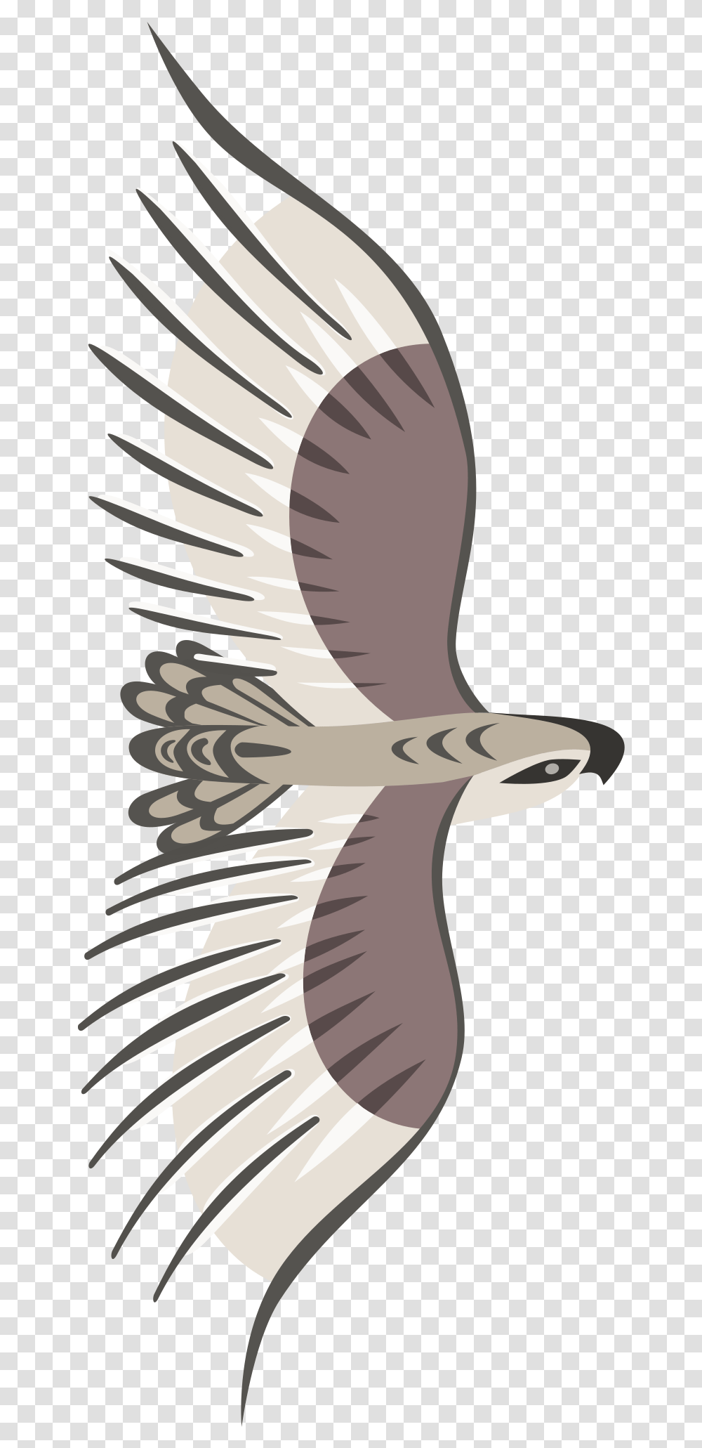 Golden Eagle Clip Arts For Web Clip Arts Free Flying Bird Top View, Vulture, Animal, Condor Transparent Png