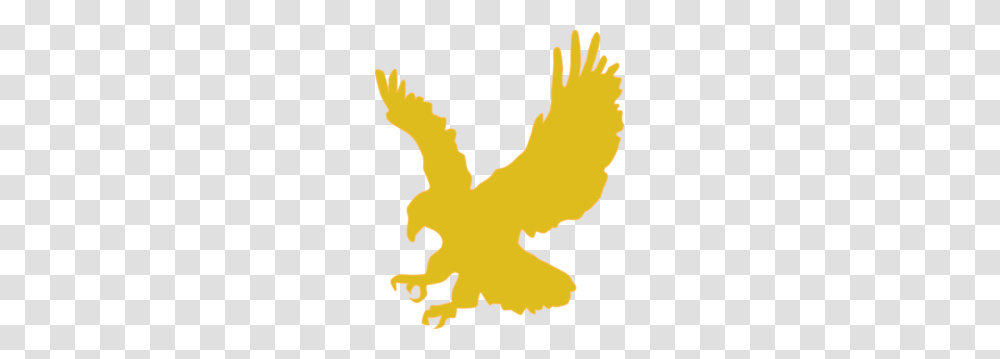 Golden Eagle Clipart, Animal, Bird, Person, Human Transparent Png