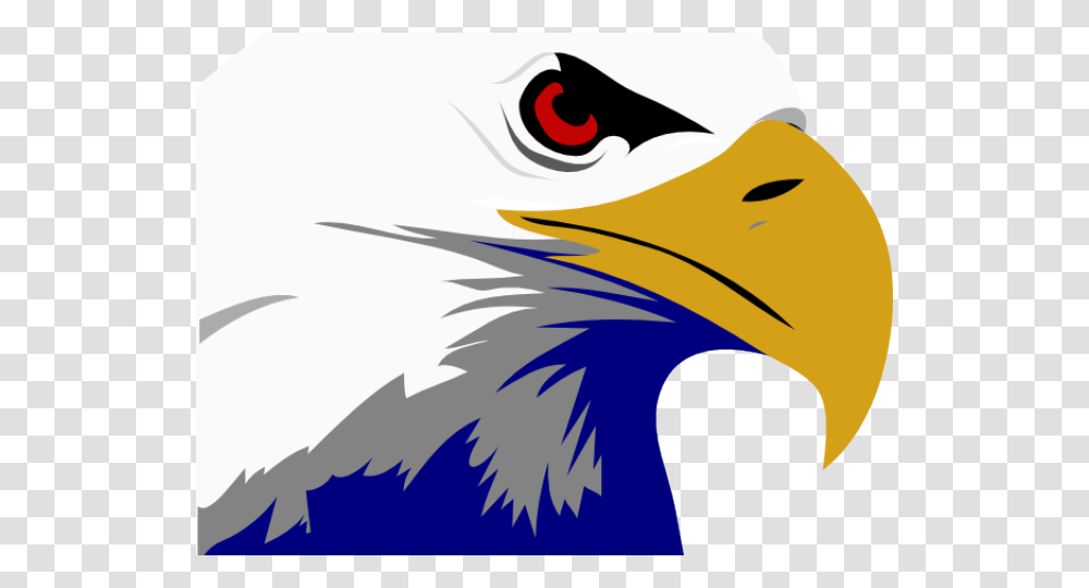 Golden Eagle Clipart Flying, Beak, Bird, Animal, Bald Eagle Transparent Png