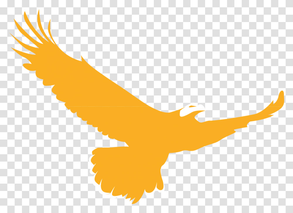 Golden Eagle Clipart Native American, Bird, Animal, Flying, Bald Eagle Transparent Png