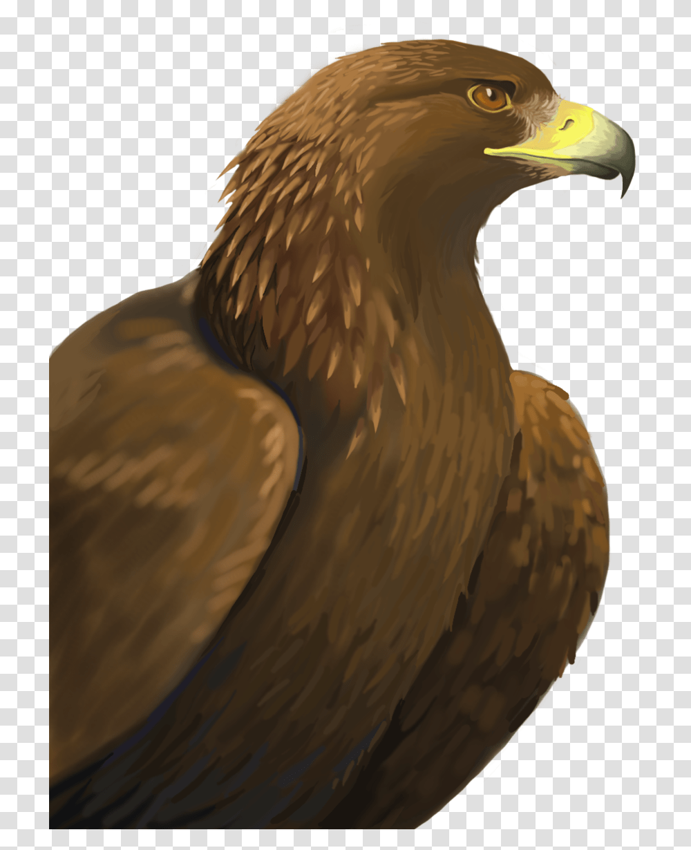 Golden Eagle Golden Eagle, Bird, Animal, Vulture, Bald Eagle Transparent Png