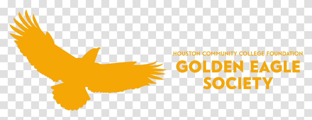 Golden Eagle Houston Community College Eagle, Bird, Animal, Paddle, Oars Transparent Png